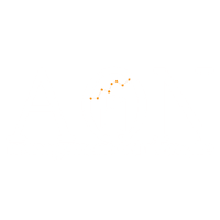 AoN Management Solutions, LLC