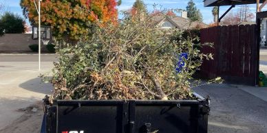 A trailer filled with tree branches and foliage on a sunny day.