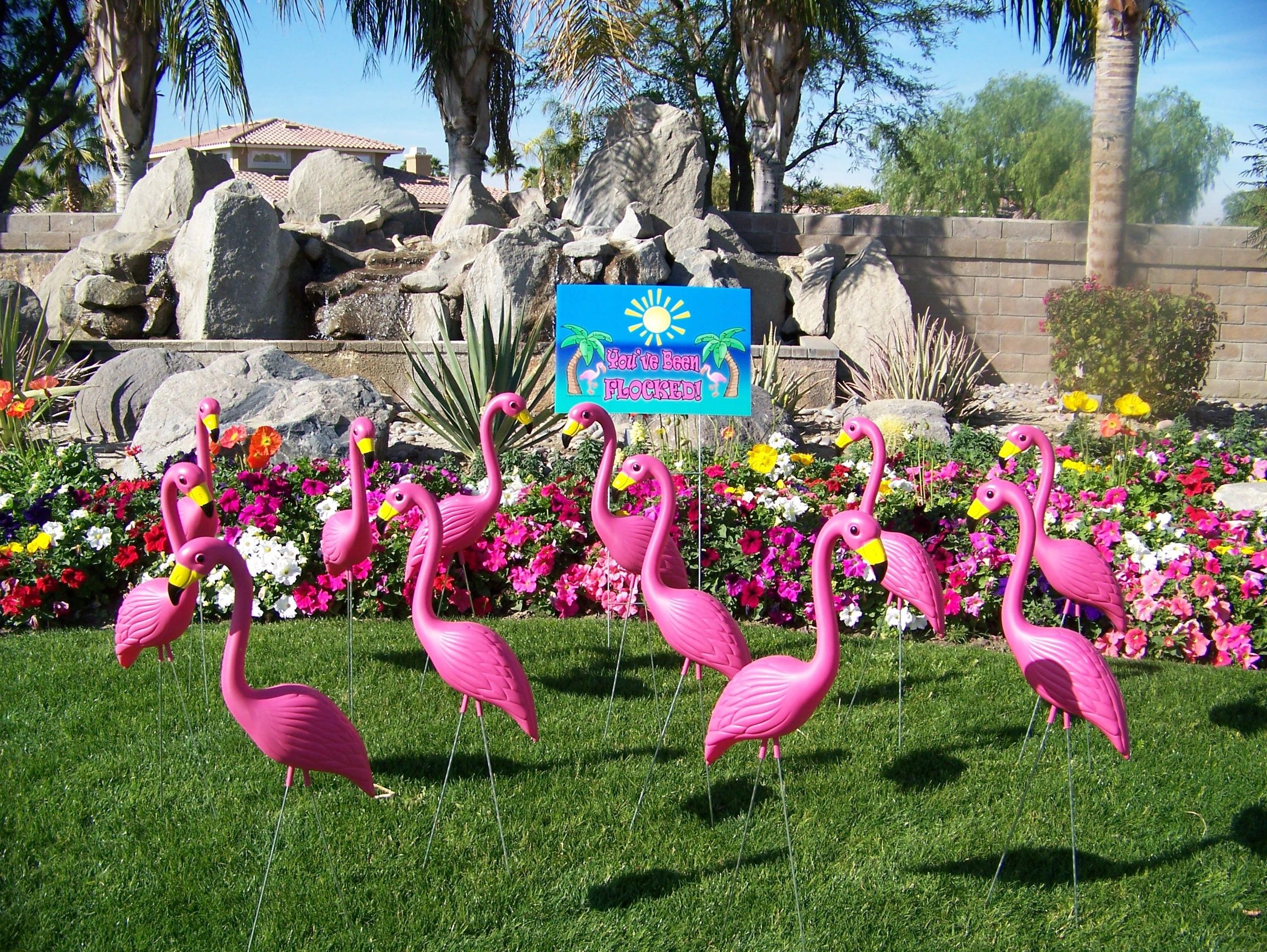 The Pink Flamingo Site - Plastic Flamingos, Yard Flamingos