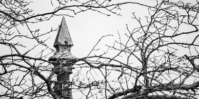 Monochrome or black and white 