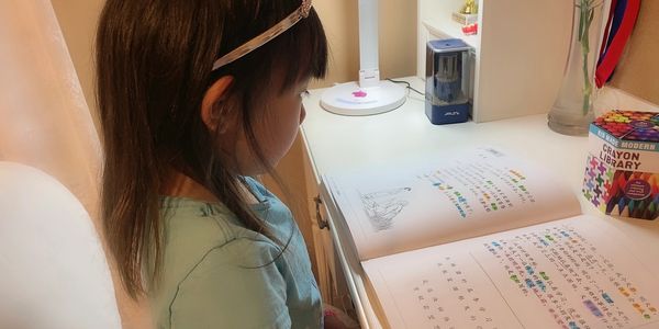 Chinese lessons