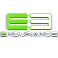 E3 Endurance