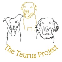 The Taurus Project