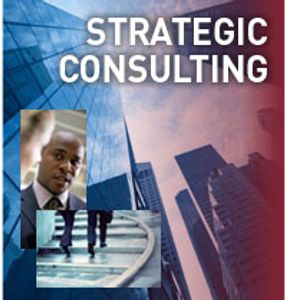 Performance Systems Strategic Consulting