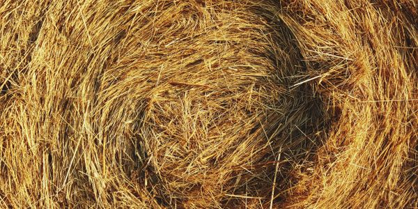 Poplars Farm Chesapeake Beach Maryland Calvert County Chesapeake Bay baled mixed grass organic hay 