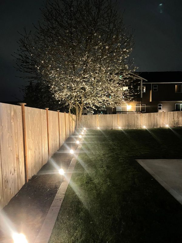 Landscaping clean up, trimming, outdoor lighting, new sod