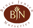 Bruce Jensen Nurseries/Florida LLC