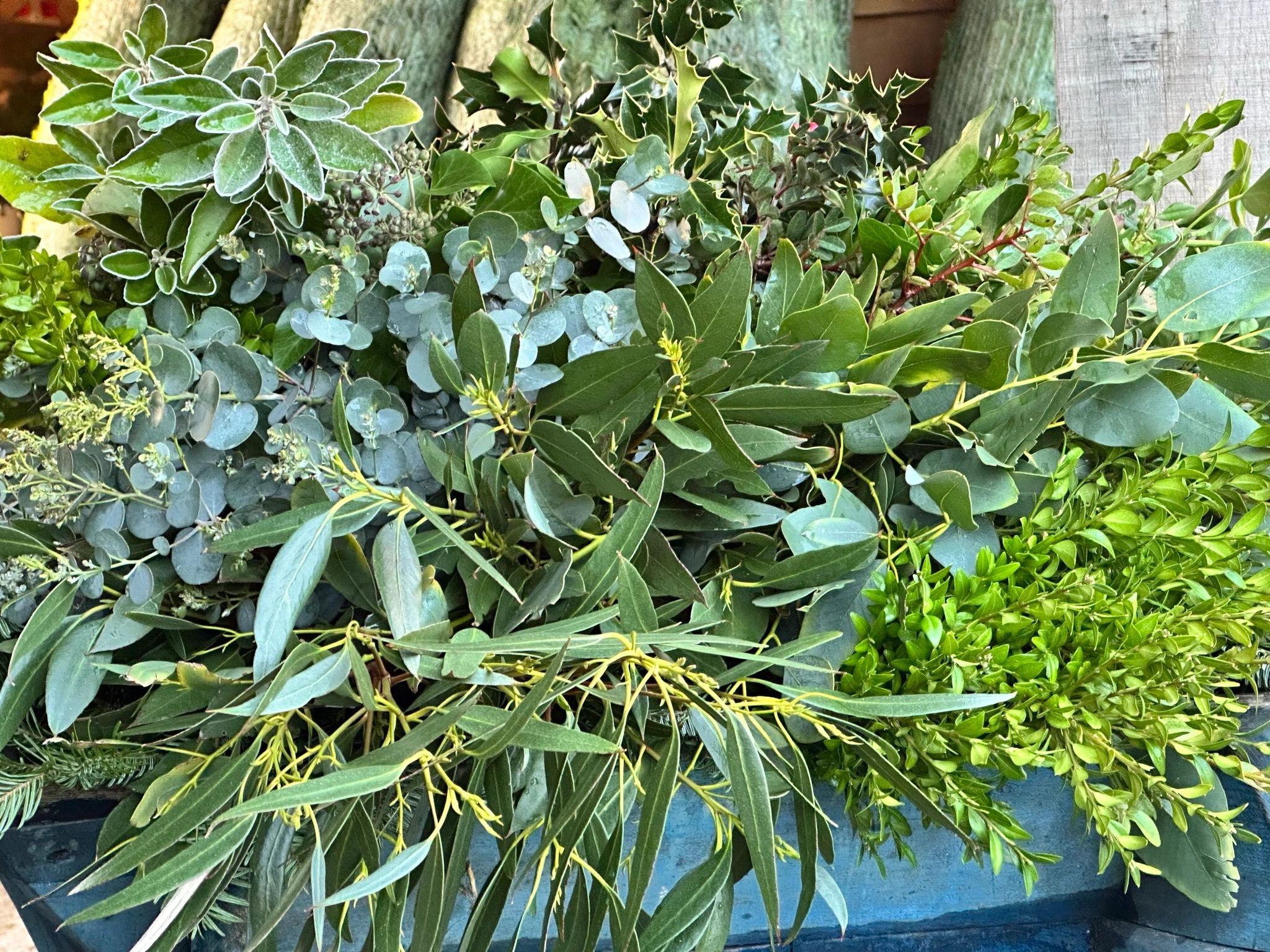 Foliage In Bucket main image 1