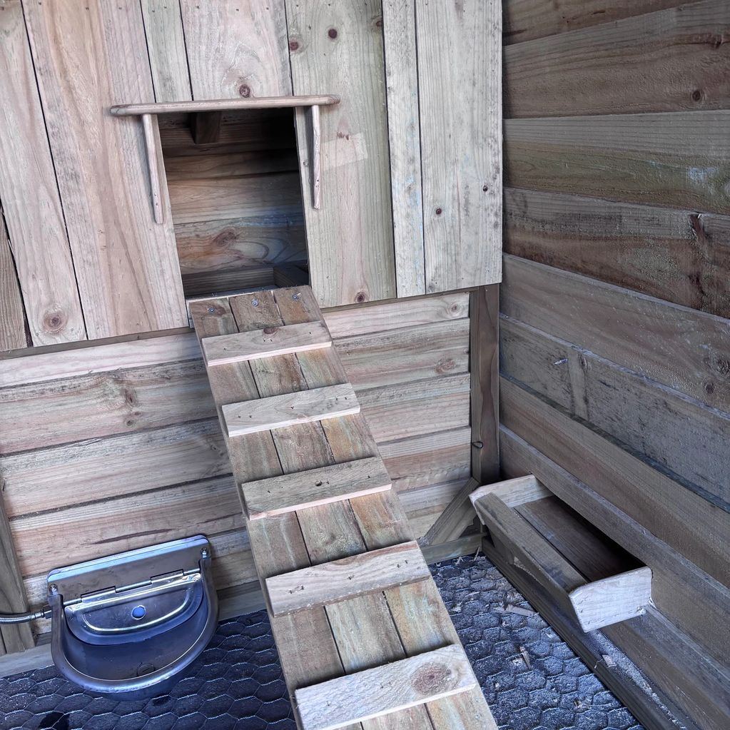 Wooden chicken coop interior with ramp and water dispenser.