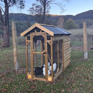 Small wooden animal enclosure with two rabbits inside on grassy lawn.