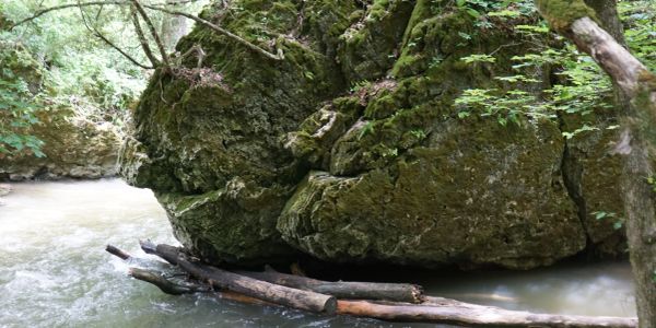 Large mossy rocks by a flowing river with logs.
