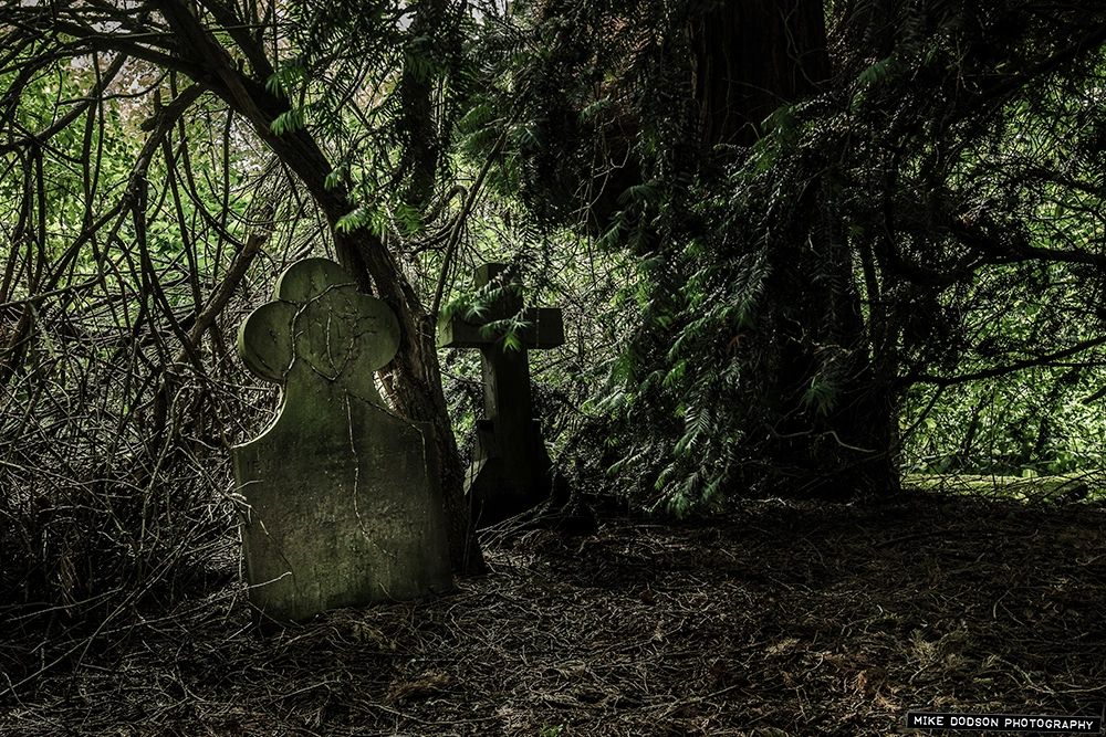 //img1.wsimg.com/isteam/ip/299febe6-ebc0-41e5-8b37-cbd9b5b2cc51/_Z5A0143%20copy.jpg/:/rs=w:1300,h:800