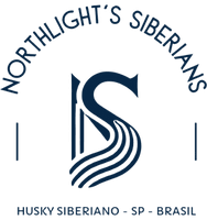 Northlight's Siberians