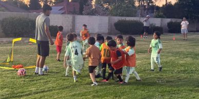 Young children playing soccer on a grassy field during sunset.