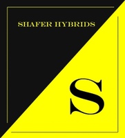 shaferseeds.com