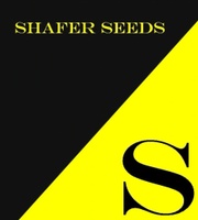 shaferseeds.com