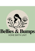 Bellies and Bumps homebirth unit