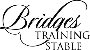 Bridges Training Stable