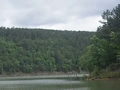 A serene lake surrounded by dense green forest under a cloudy sky.