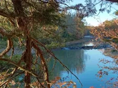 A serene river surrounded by autumn trees under a clear sky.