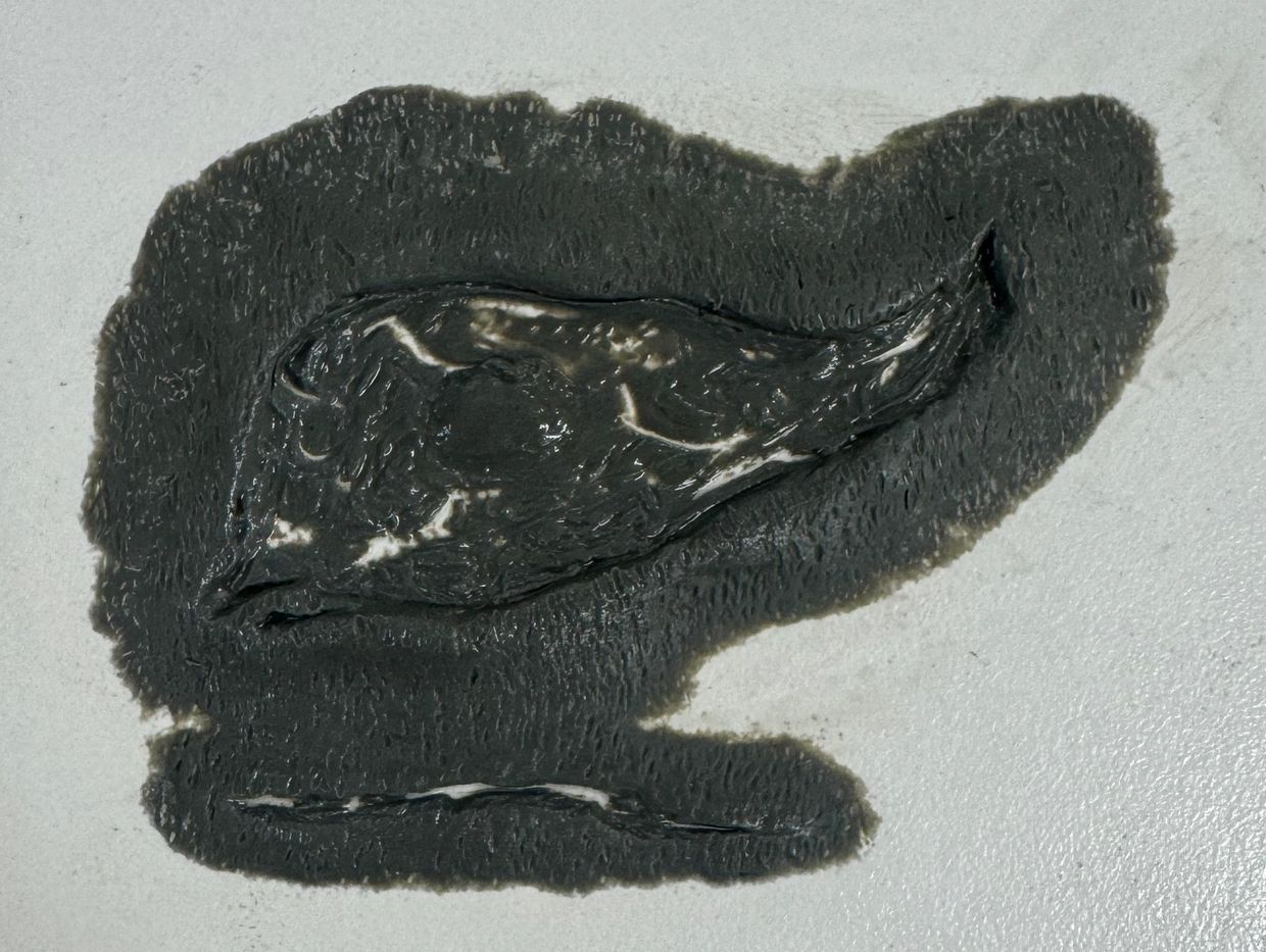 Black paint or ink spread on a white surface in an abstract shape.