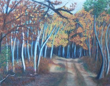 Autumn Walk
Pastel, 18" X 14"
$215