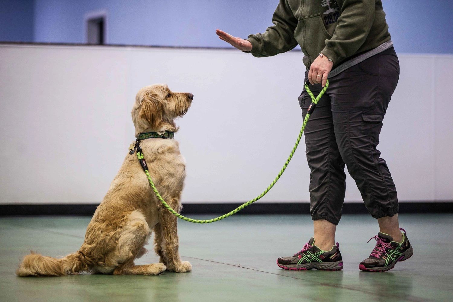 Free Dog Obedience Training Thursdays for Adopted Sheriff Dogs