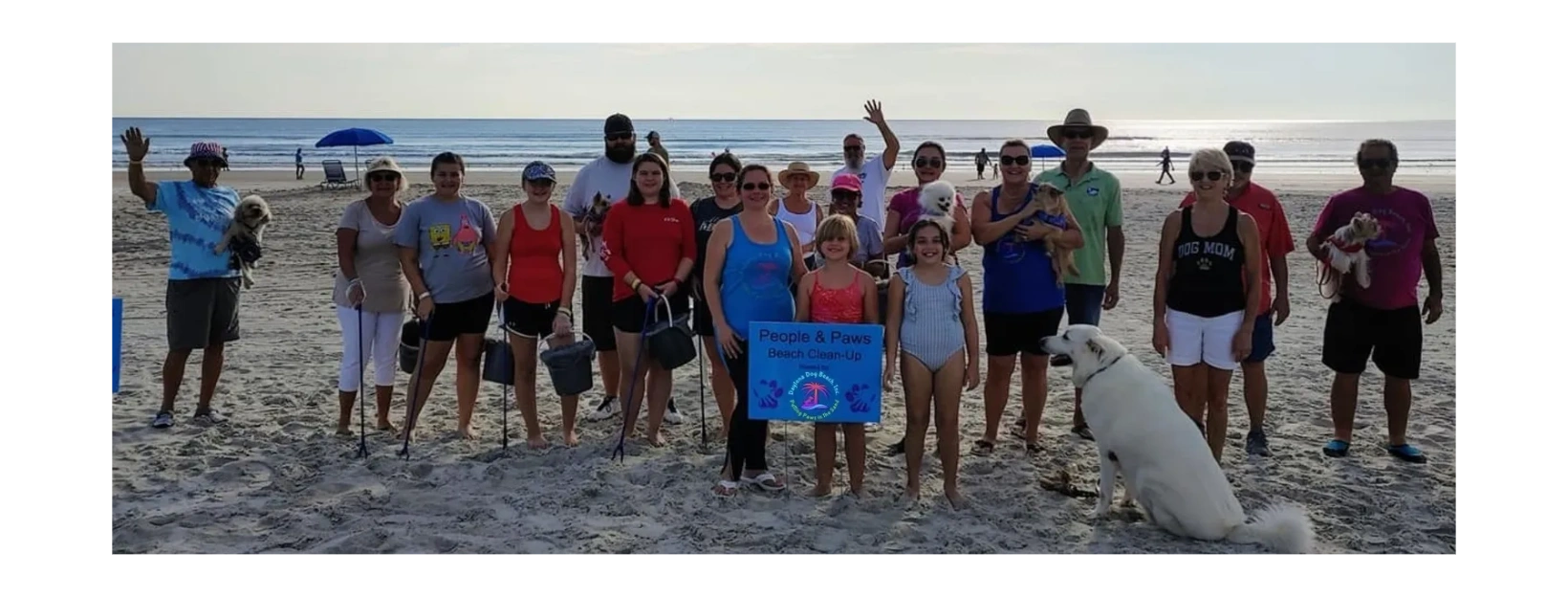 Can You Bring Dogs To Daytona Beach