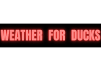 Weather for Ducks