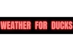 Weather for Ducks