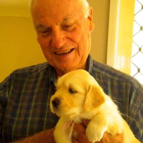 Elderly man holding a golden retriever puppy.