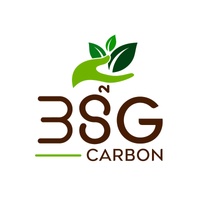 BSG Carbon