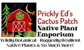 Prickly Ed's Cactus Patch Native Plant Emporium 