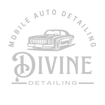 Divine Detailing