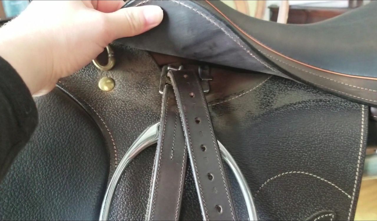 5 Simple Steps to Clean & Condition Your Saddle