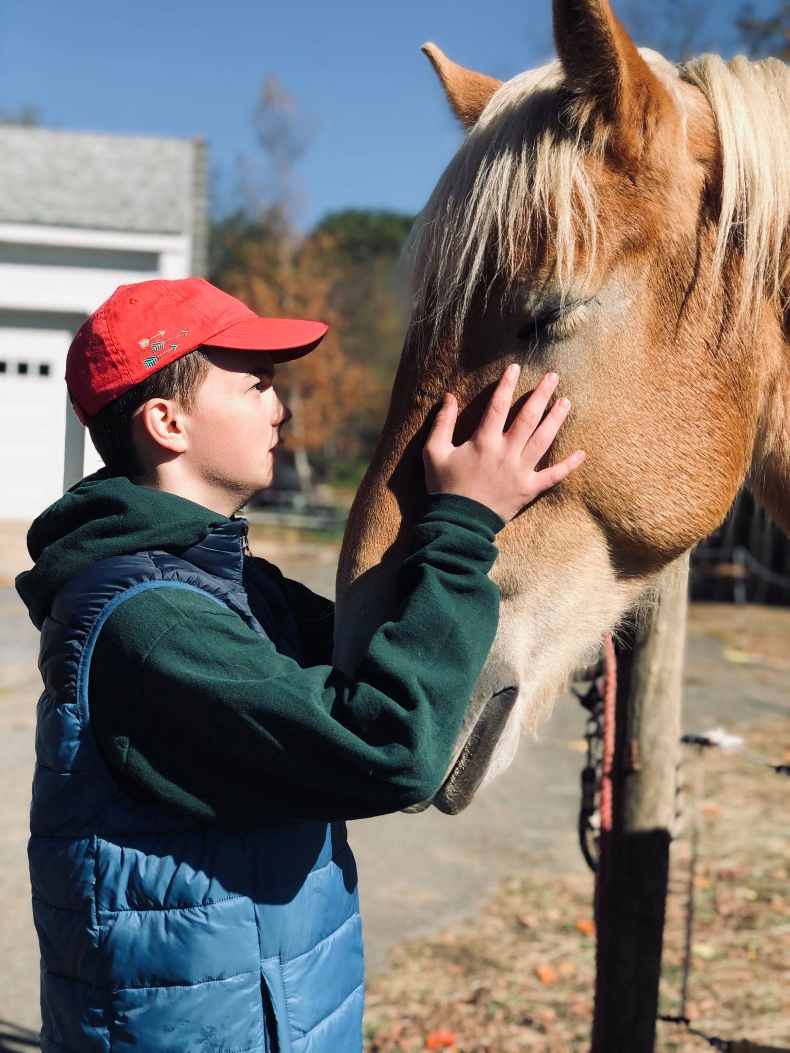 What Happens to your Horse if Something 