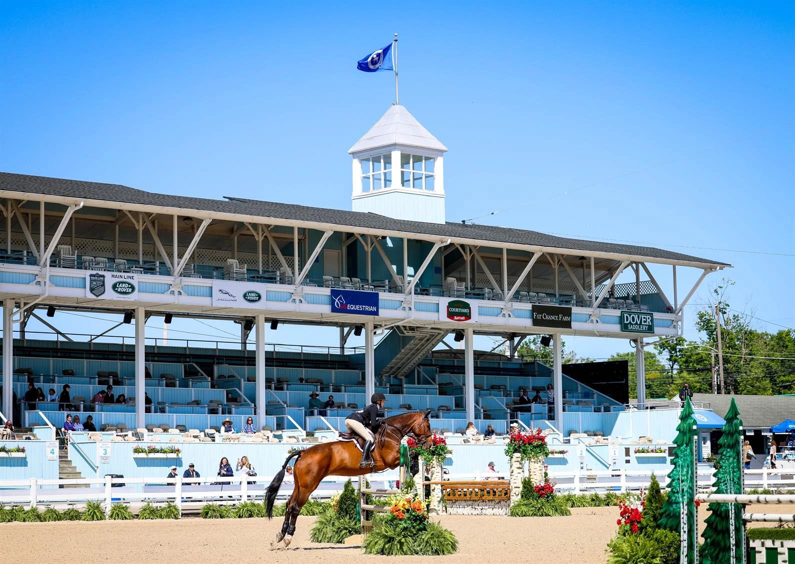 Five Reasons to Watch the Devon Horse Show and Country Fair 2024