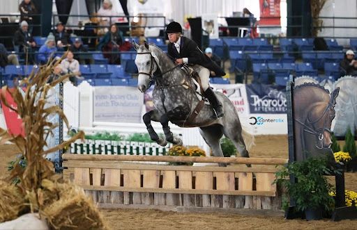 Laura Sloan on Forthegreatergood (Photo Credit: Canter Clix)