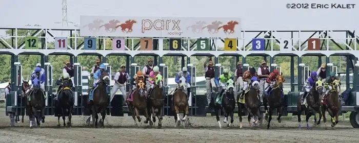 Parx Camel Races Parx Racing Celebrates 50th Anniversary