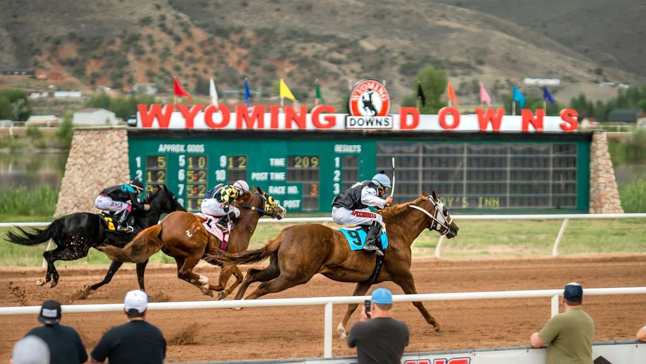 Three Horses Euthanized at Wyoming Track after Falling in Races