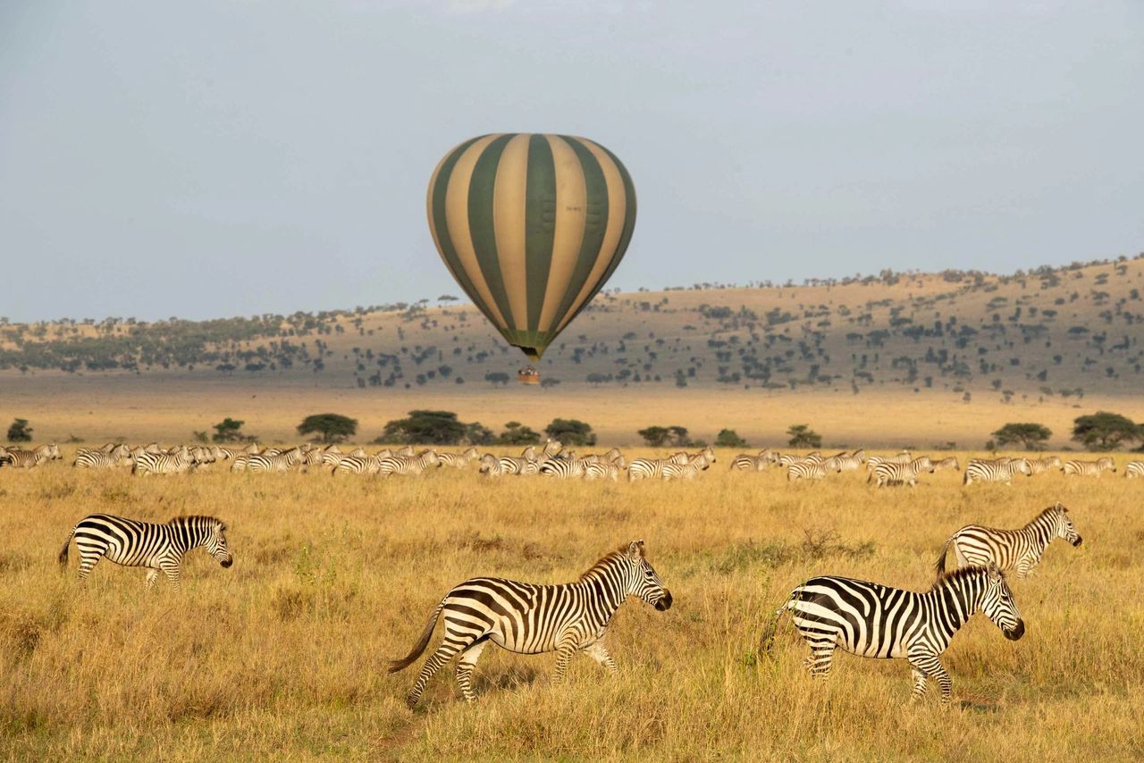 serengeti-hot-air-balloon