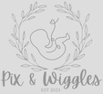 Pix and Wiggles 3D/4D