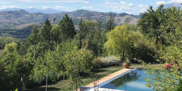 Pool & Garden Maintenance 