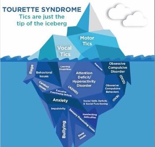 Tourette more than tics