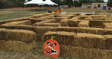 Straw Bale Maze Grafton Corn Maze Pumpkin Patch Grafton Parks and Recreation Grafton North Dakota