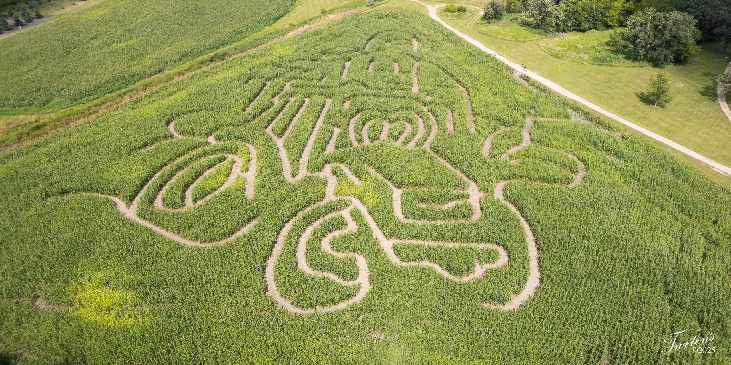 Grafton Corn Maze photo 6