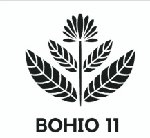 Bohio11