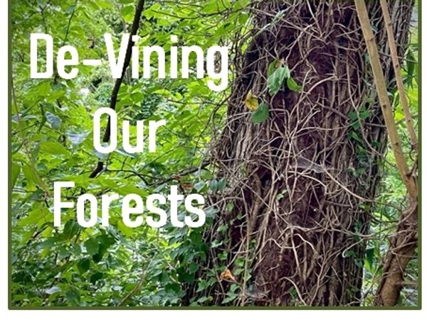 Dense forest with text 'De-Vining Our Forests' overlaid.