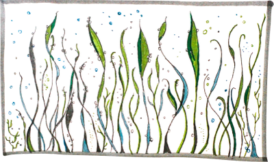 Abstract green and black wavy lines resembling seaweed with blue bubbles on a white background.
