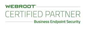 Webroot certified partner, antivirus, business antivirus, monitoring services, computer protection.
